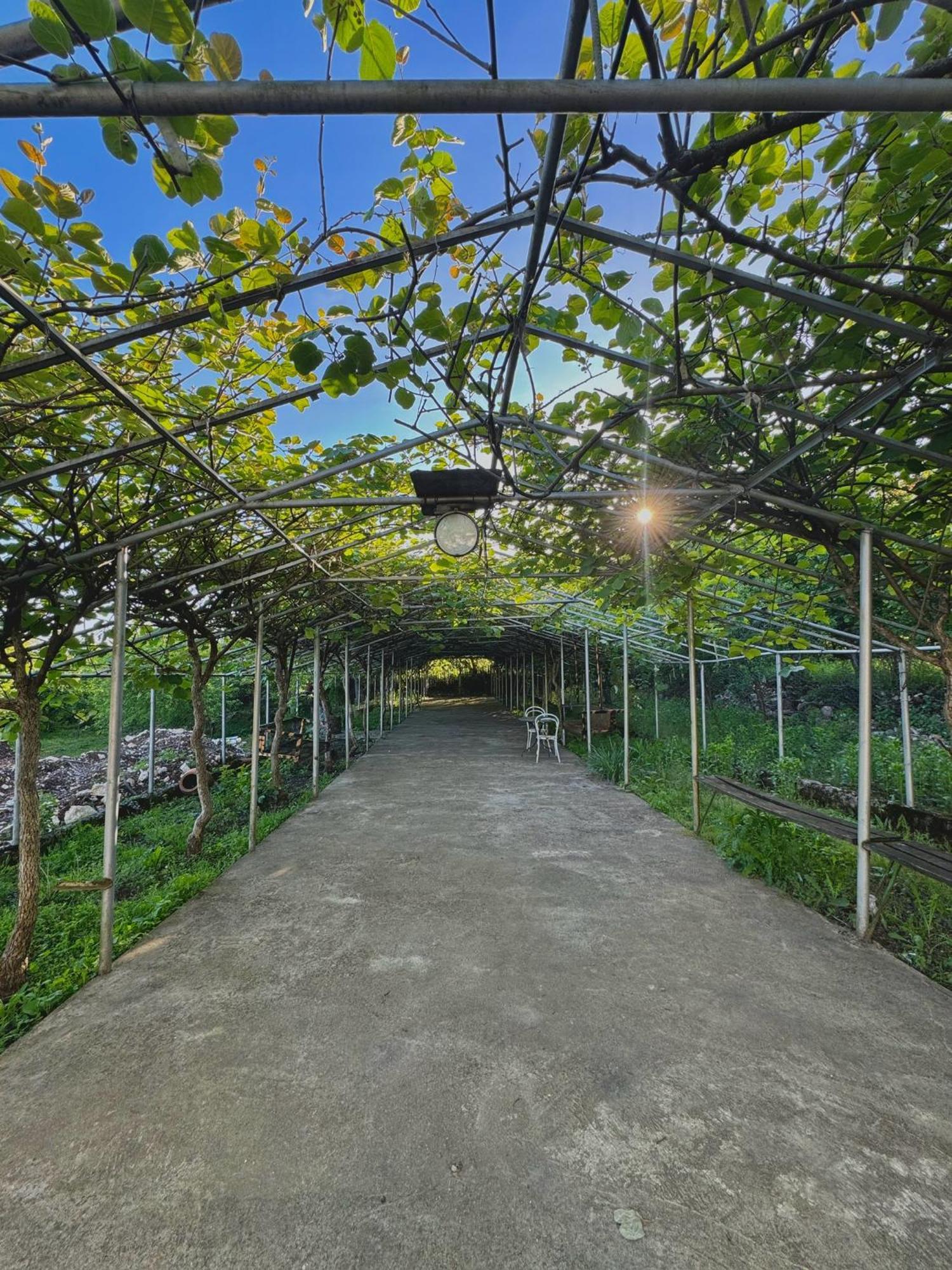 Hotel Okatsia Სასტუმრო Ოკაცია Gordi Exterior foto